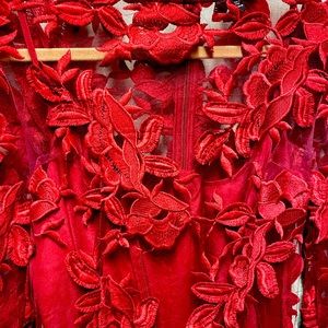 Red lace Topshop dress